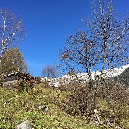 Apartament Kalsberger